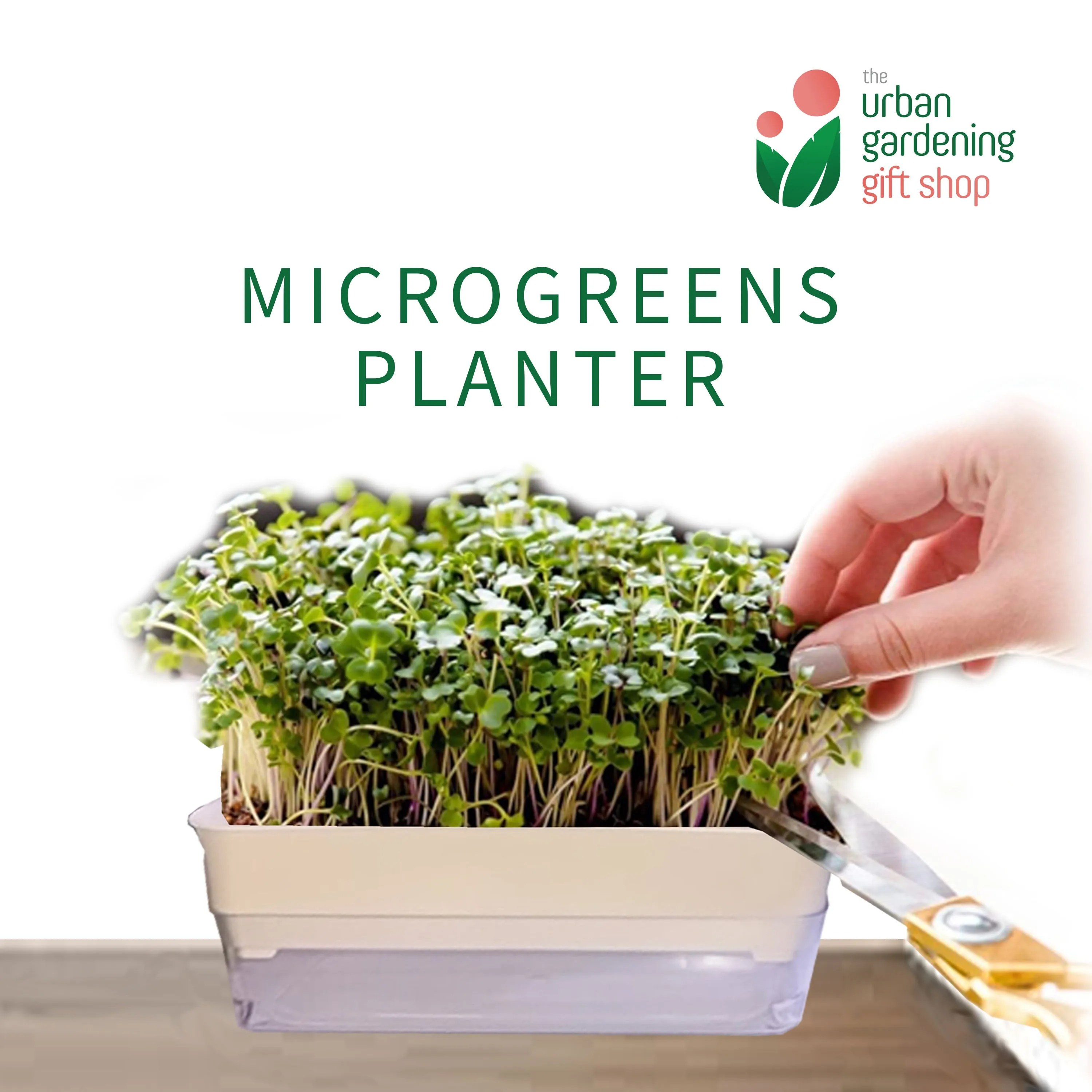 MICROGREENS PLANTER (Self Watering Planter for Growing Microgreens)